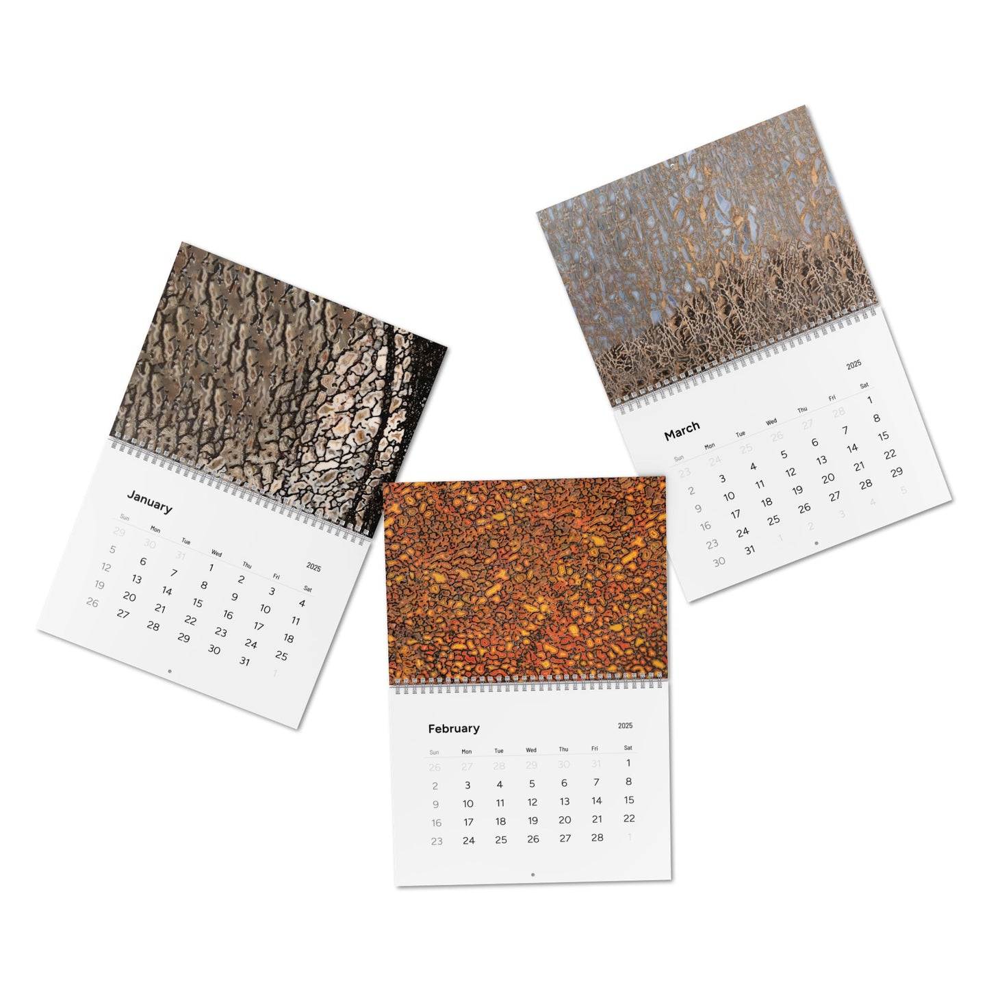 Alan Meltzer Gembone Collection Wall Calendar (2025)