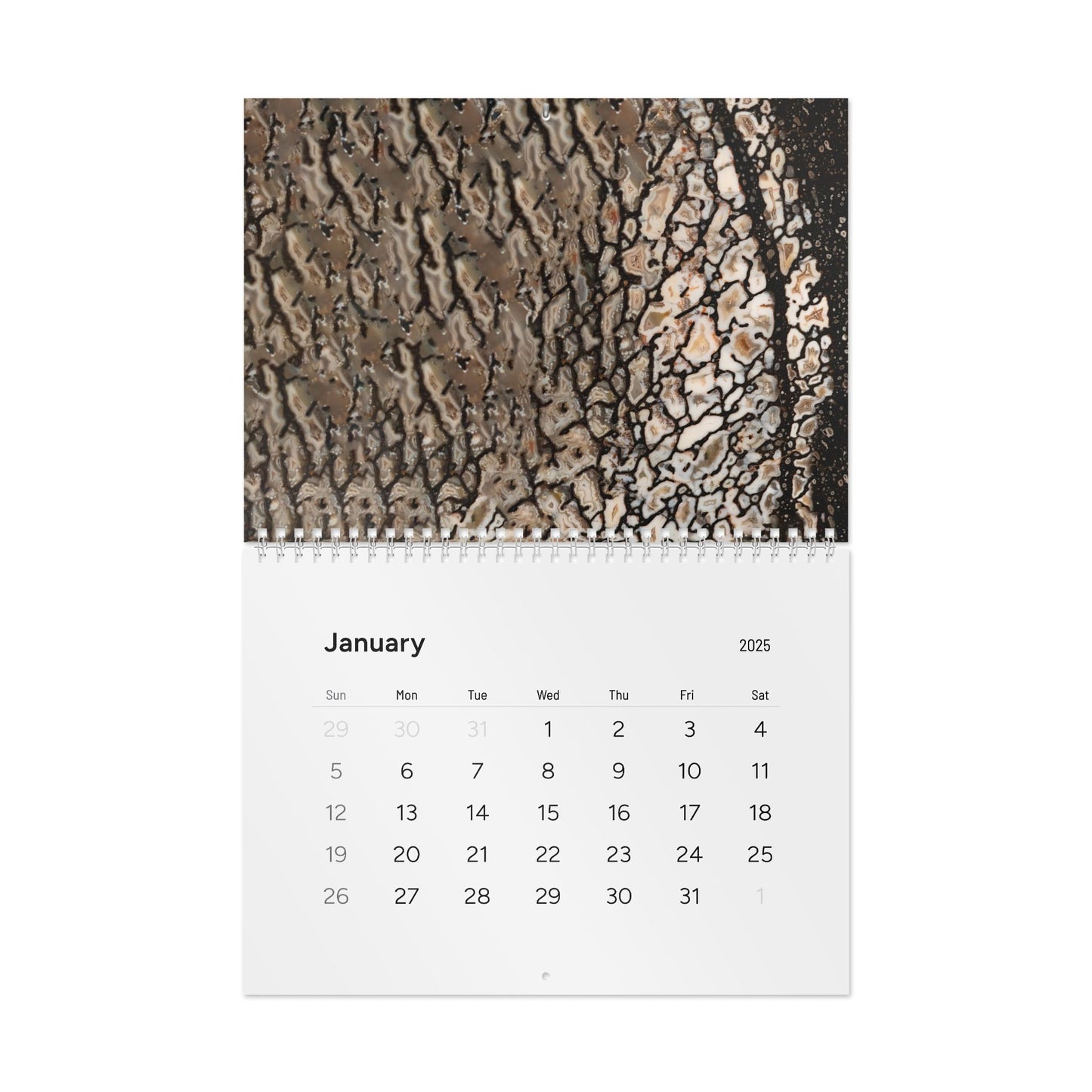 Alan Meltzer Gembone Collection Wall Calendar (2025)