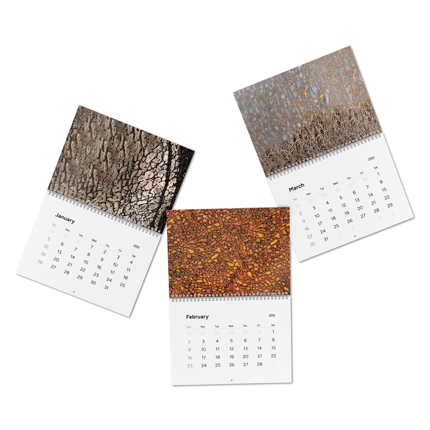 Alan Meltzer Gembone Collection Wall Calendar (2025)