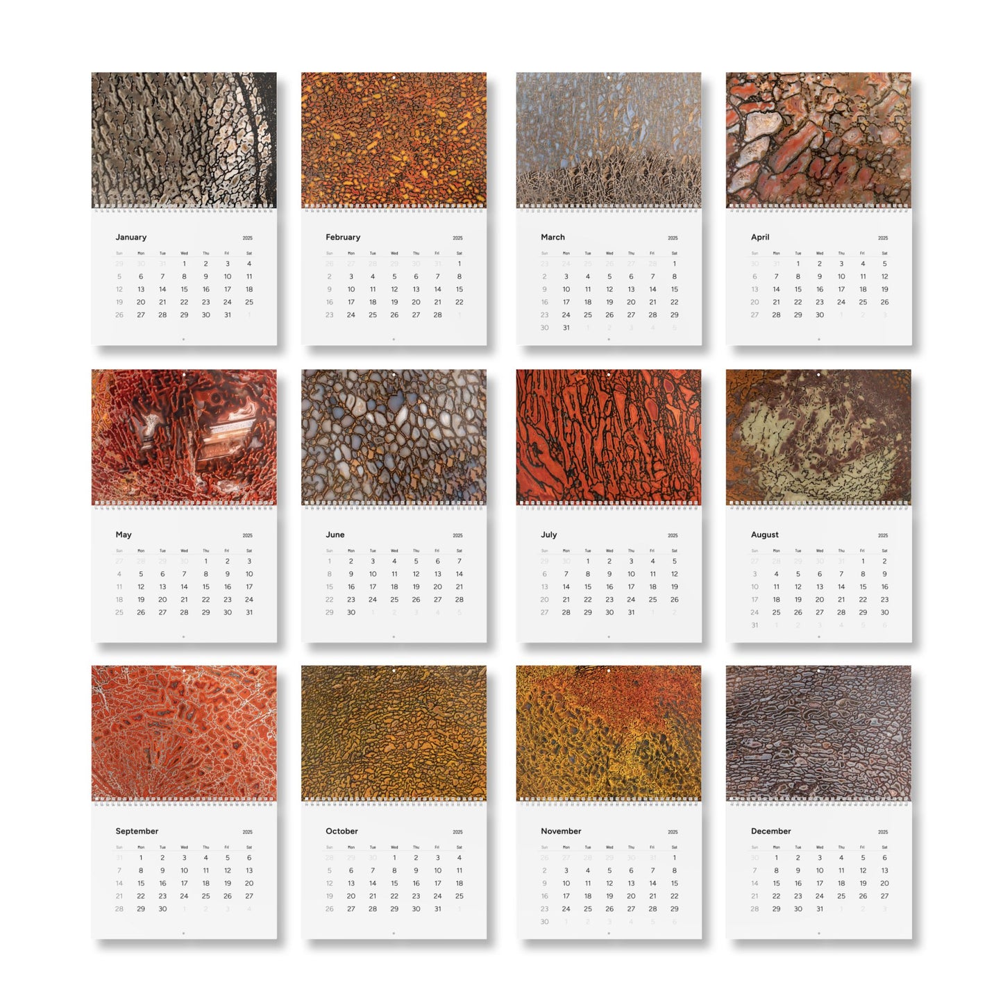 Alan Meltzer Gembone Collection Wall Calendar (2025)