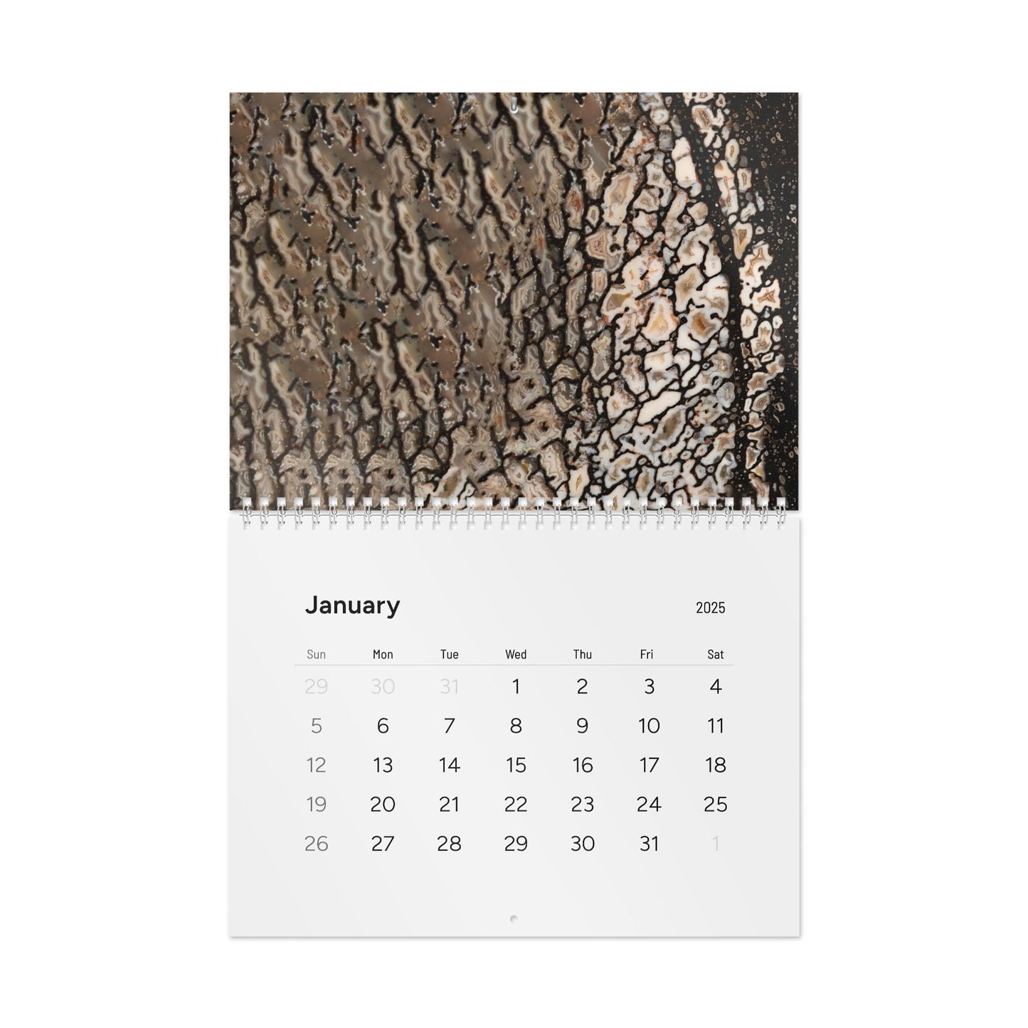 Alan Meltzer Gembone Collection Wall Calendar (2025)